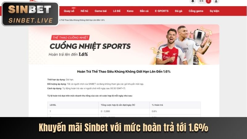 Biểu đồ thể hiện hiệu suất trang web và trải nghiệm người dùng